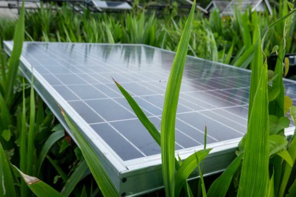 reused solar panels